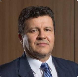 Carlos Hamilton Vasconcelos Araujo